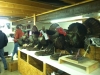 deer-mounts-in-china-township-mi deer-mounts-in-china-township-mi