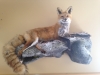 Michigan Taxidermist Michigan Taxidermist