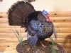 Michigan Taxidermy Michigan Taxidermy