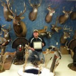 Saint Clair County ,Michigan Deer Shoulder mount